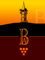 Burgstaller Logo